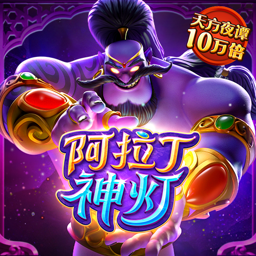 bibo必博体育网